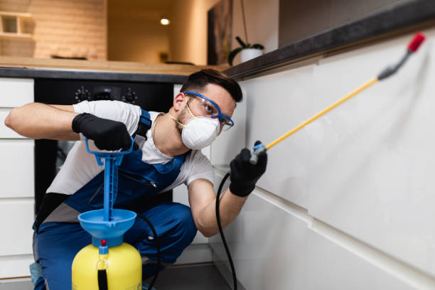 Best Emergency Pest Control  in Nekoosa, WI
