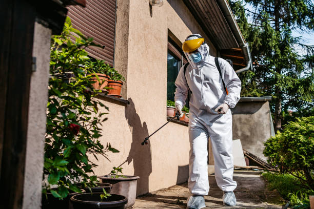 Best Wasp Removal Services  in Nekoosa, WI