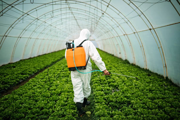 Best Best Pest Control Companies  in Nekoosa, WI