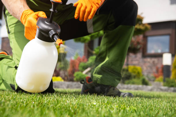 Best Residential Pest Control  in Nekoosa, WI