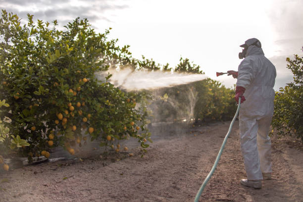 Best Pest Control Treatment  in Nekoosa, WI