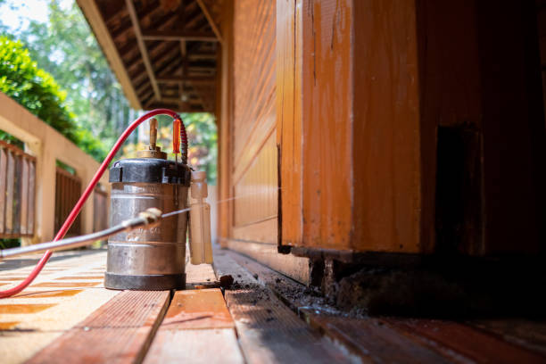 Best Affordable Pest Control Services  in Nekoosa, WI