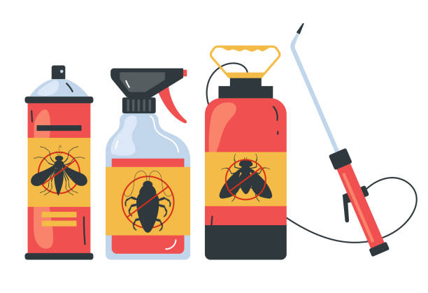 Best Ant Control Services  in Nekoosa, WI