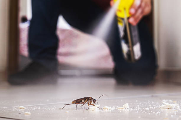 Best Pest Removal Services  in Nekoosa, WI