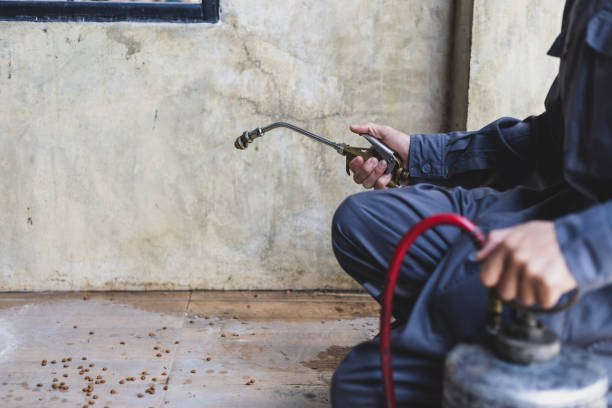 Best Residential Pest Control  in Nekoosa, WI