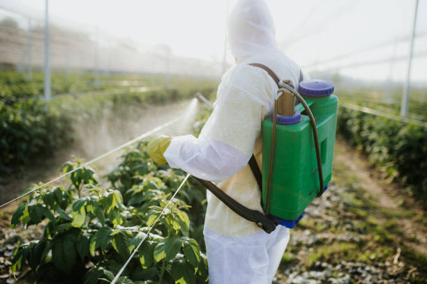 Best Affordable Pest Control Services  in Nekoosa, WI